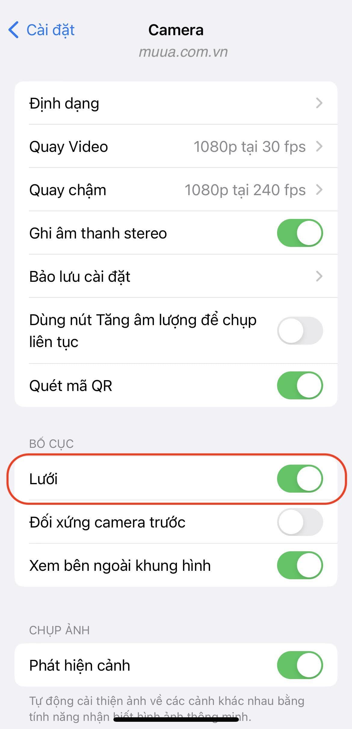 Cài đặt &gt; Camera&gt; Bật Lưới trong Bố cục